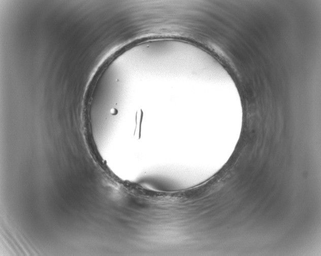 X0000065241085200603172132