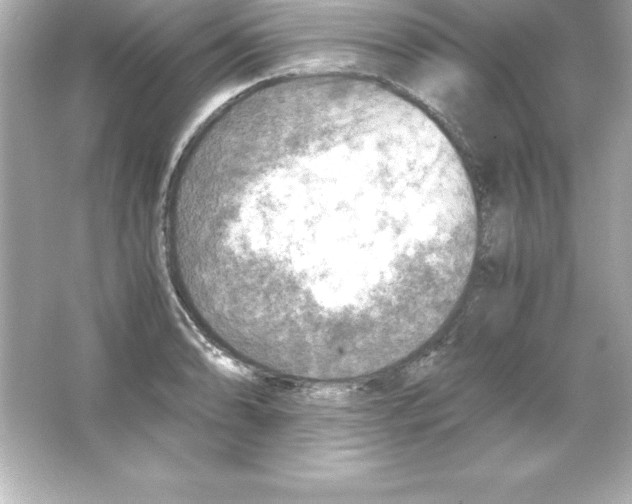 X0000065241086200603172132