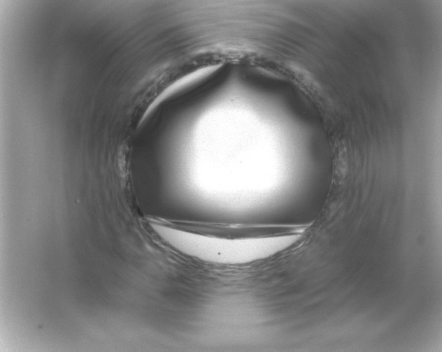 X0000065241110200603172131