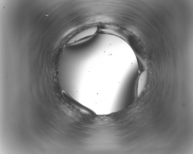 X0000065241112200603172131