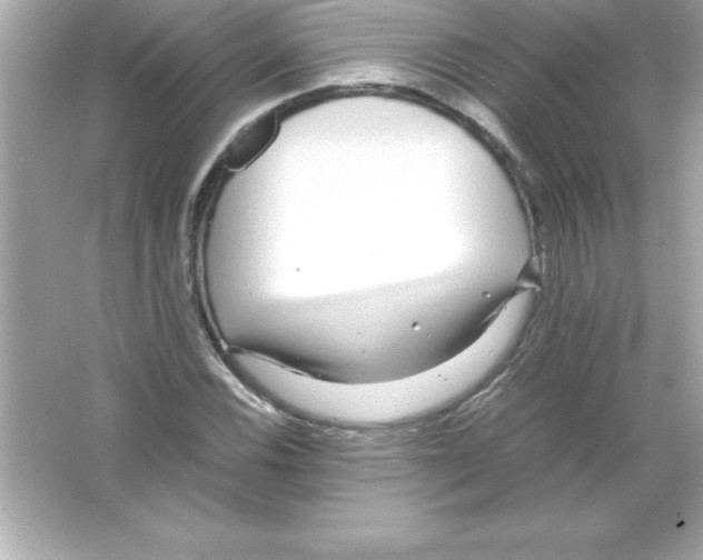 X0000065241116200603172131
