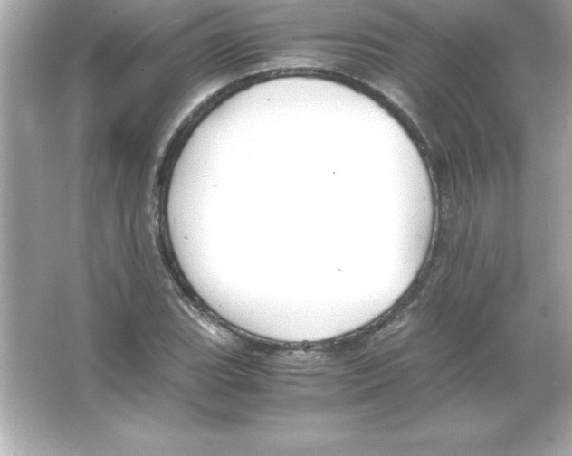 X0000065241119200603172131