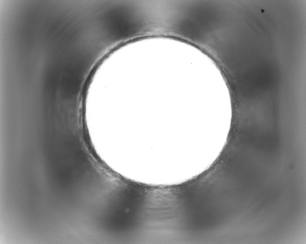 X0000065241126200603172131