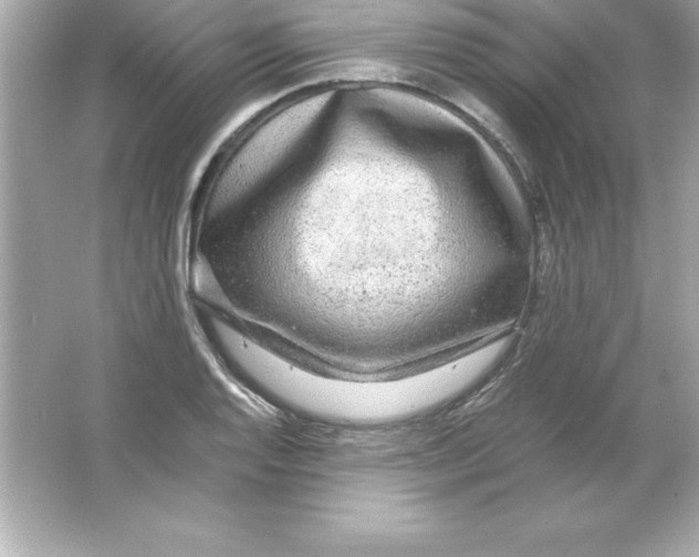 X0000065241128200603172131