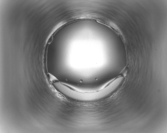 X0000065241138200603172131