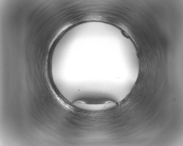 X0000065241139200603172131
