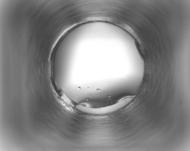 X0000065241140200603172131
