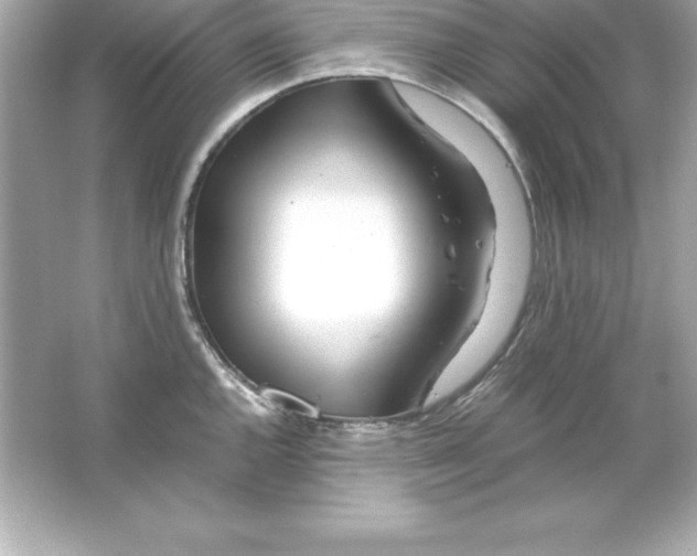 X0000065241144200603172131