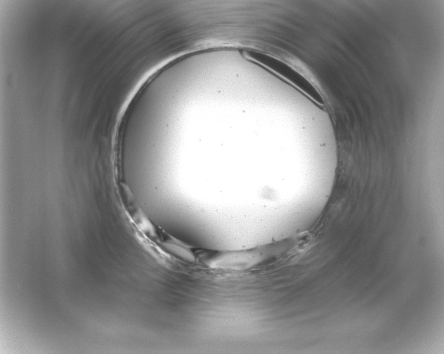 X0000065241148200603172131