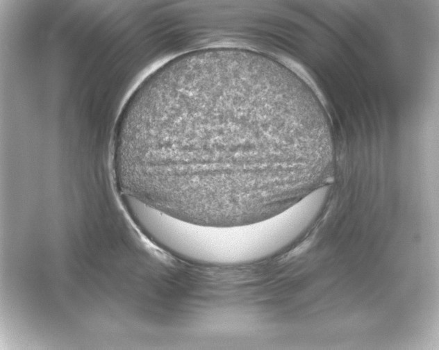 X0000065241149200603172131