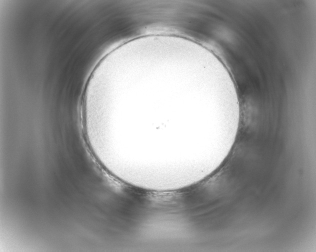 X0000065241150200603172131