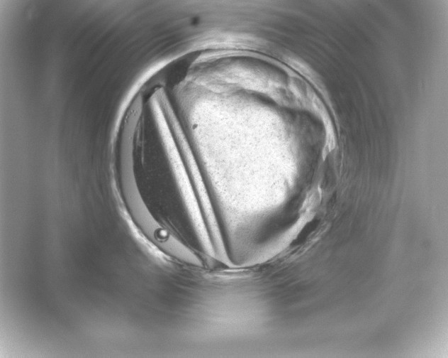 X0000065241152200603172132