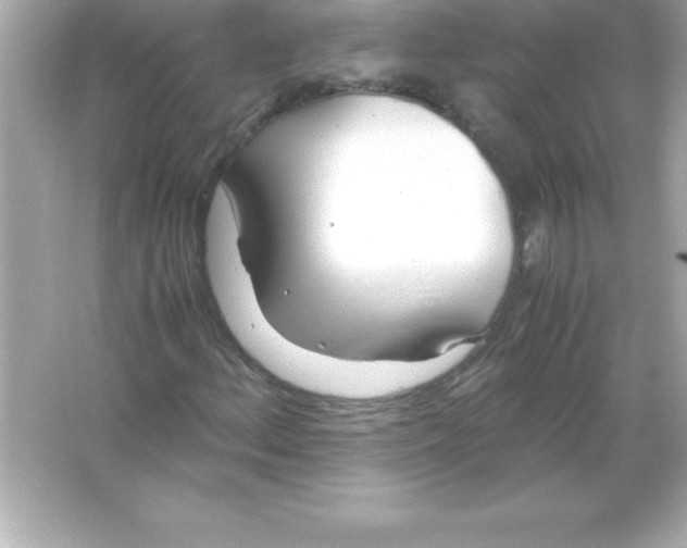 X0000065241156200603172131