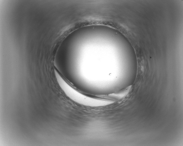 X0000065241157200603172131