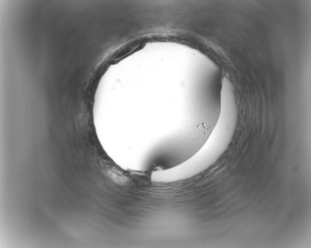 X0000065241160200603172131