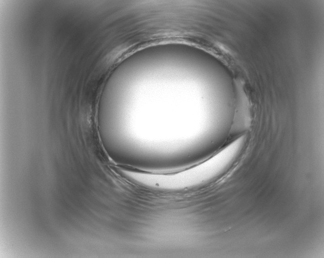X0000065241161200603172131