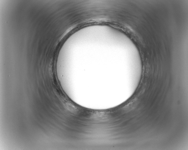 X0000065241162200603172131