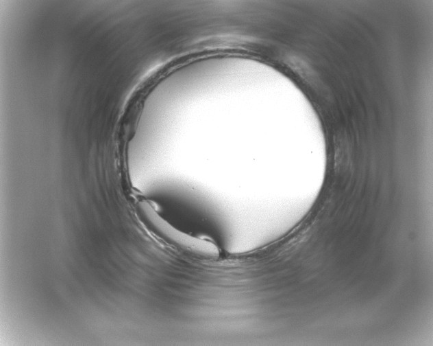 X0000065241164200603172131