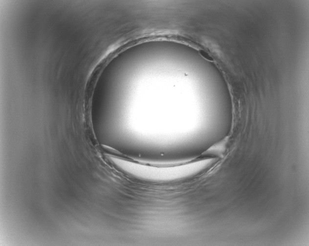 X0000065241165200603172131