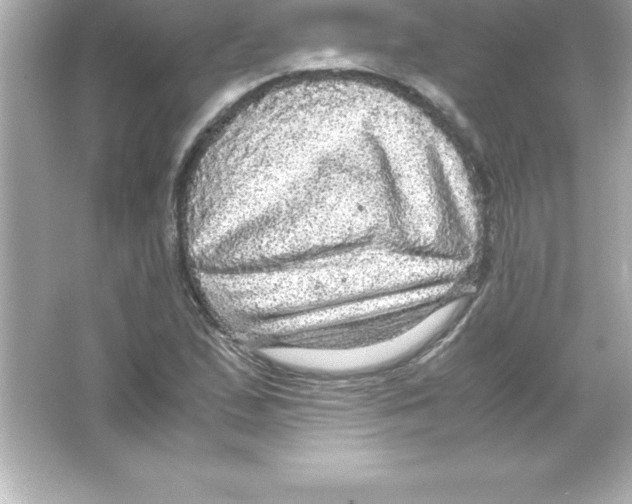 X0000065241167200603172130