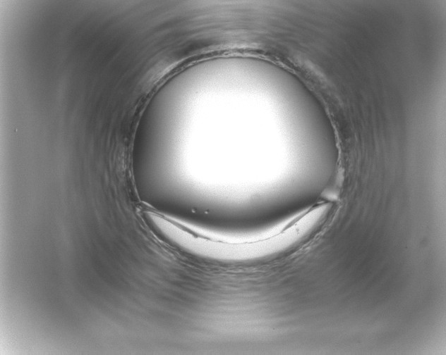 X0000065241169200603172130