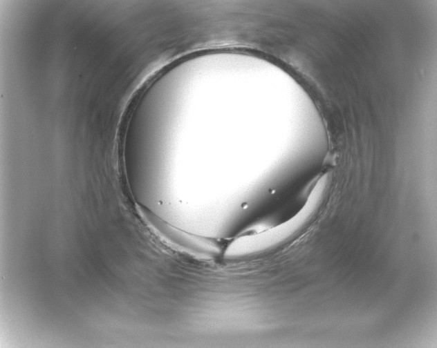 X0000065241173200603172130