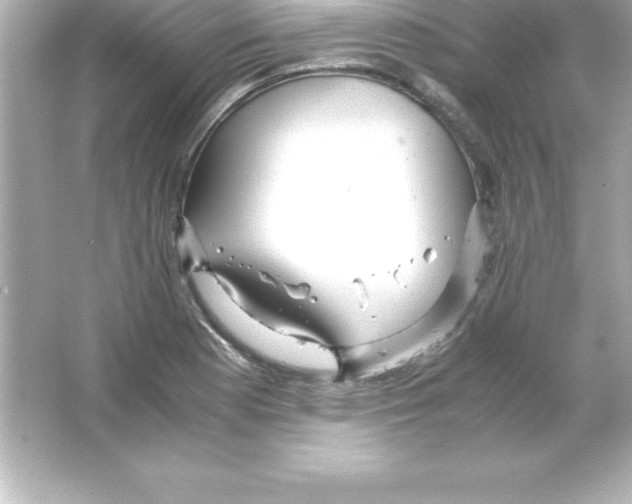 X0000065241177200603172130
