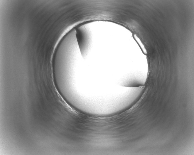 X0000065241184200603172130
