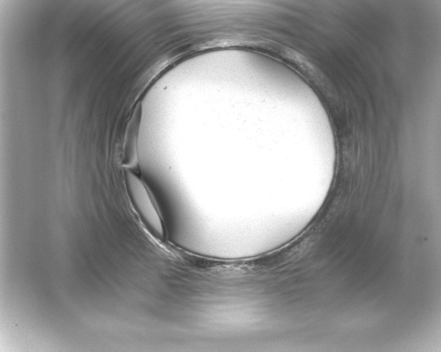 X0000065241185200603172130
