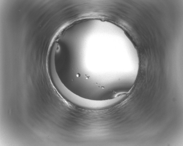X0000065241188200603172130