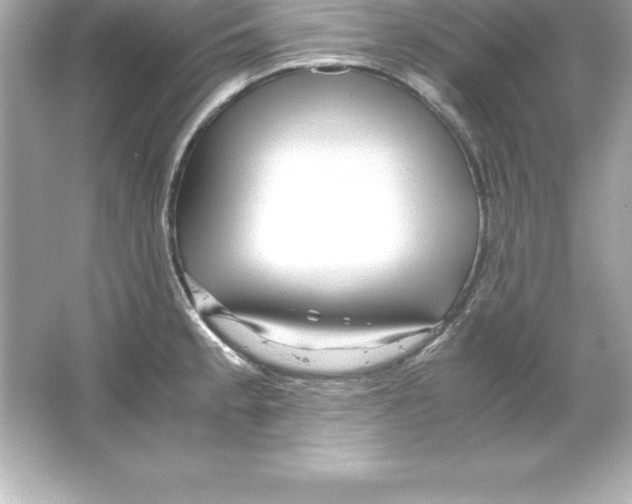 X0000065241189200603172130