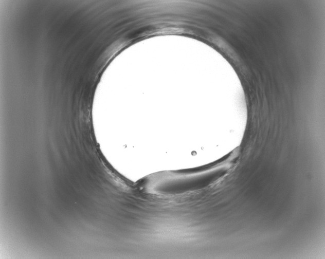 X0000065241193200603172130