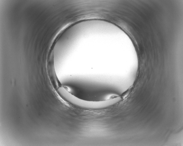 X0000065241197200603172130