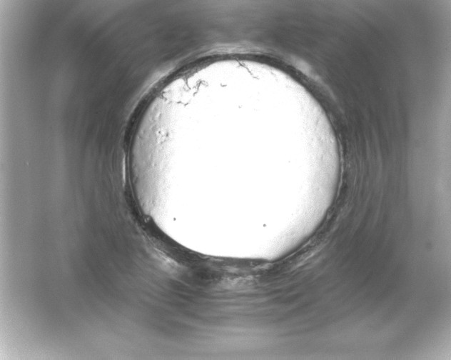 X0000065241221200603172129