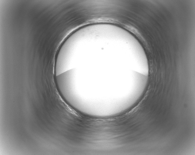 X0000065241228200603172130