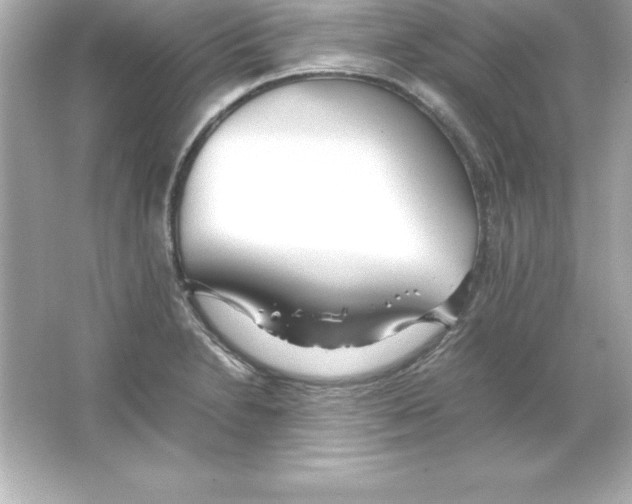 X0000065241230200603172130