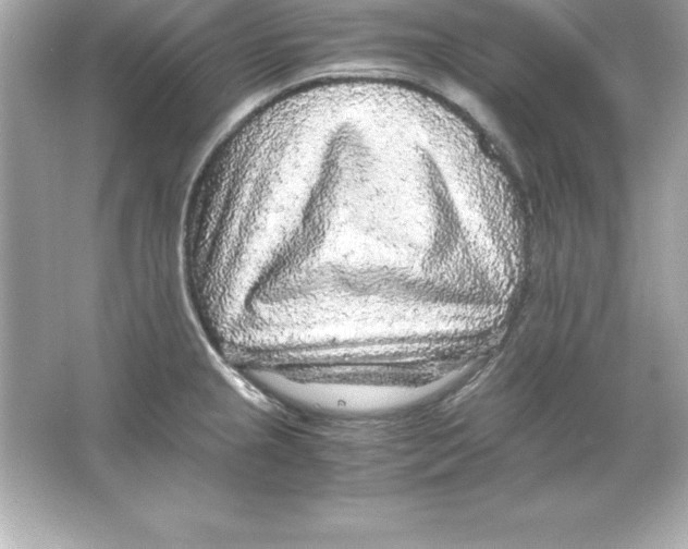 X0000065241237200603172130