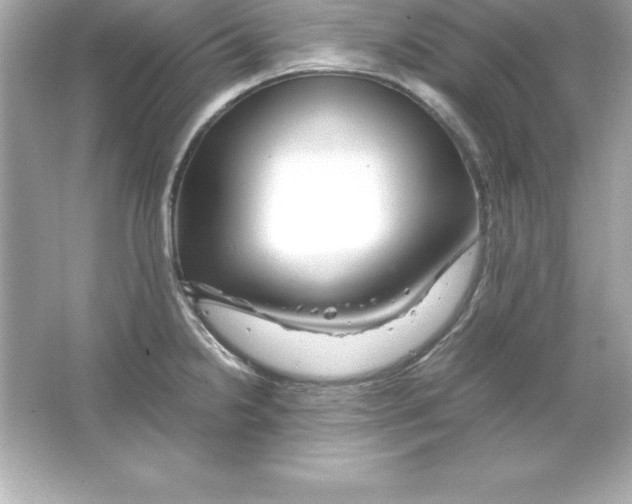 X0000065241238200603172130