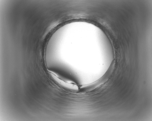 X0000065241261200603172129