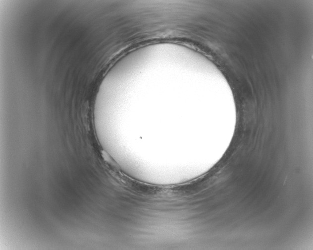 X0000065241265200603172129