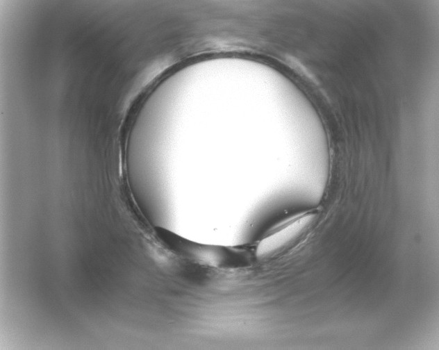 X0000065241269200603172129