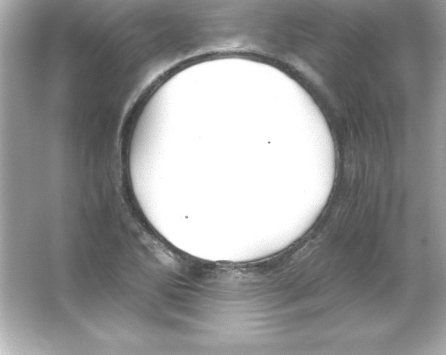 X0000065241270200603172129