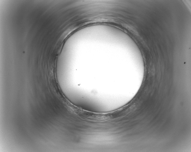 X0000065241273200603172129