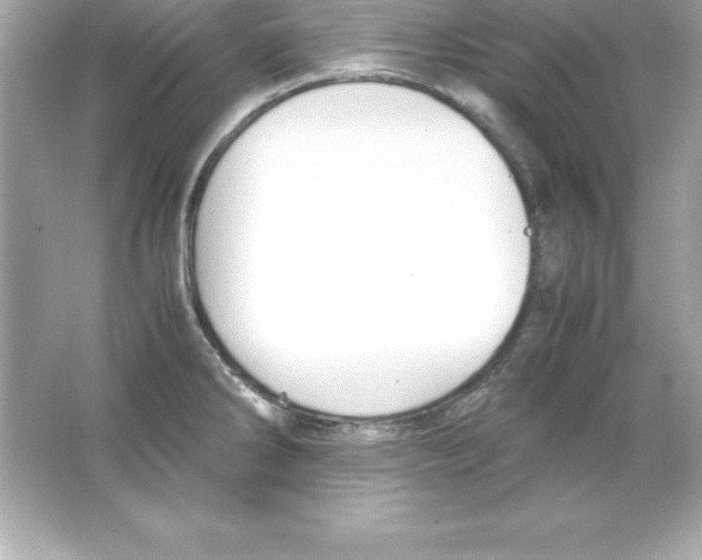 X0000065241286200603172128