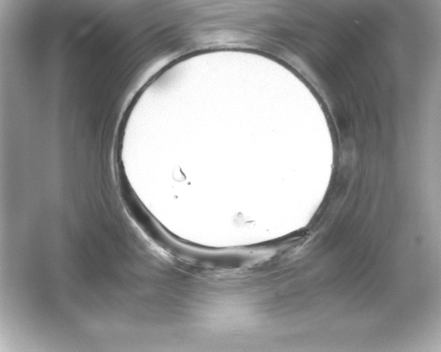 X0000065241293200603172128