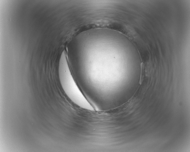 X0000065241298200603172127