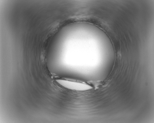X0000065241300200603172128