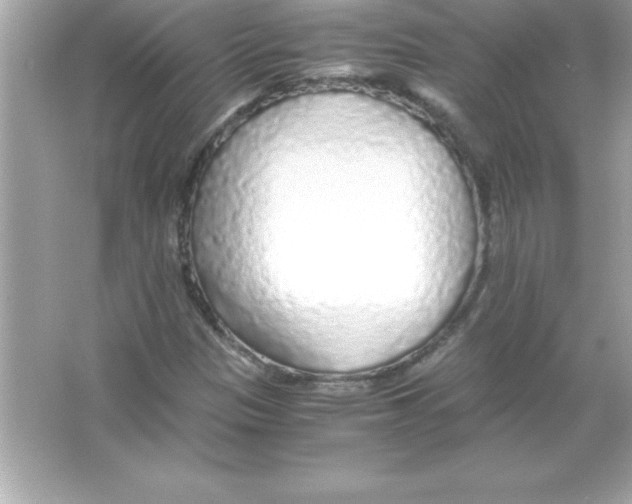 X0000065241305200603172128