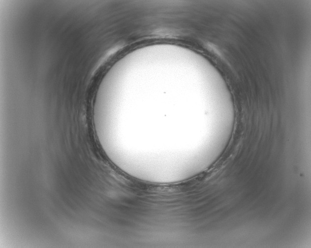 X0000065241307200603172128