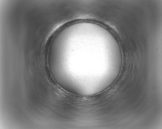 X0000065241311200603172128